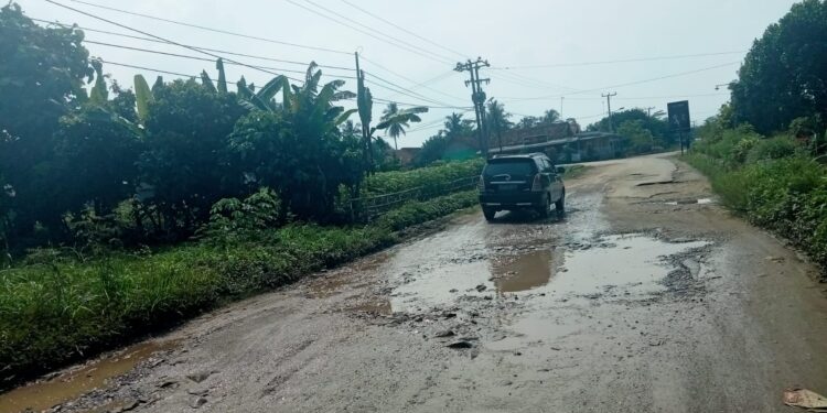 Jalan Raya Desa Sukamaju, Abung Semuli, Lampura Kondisi Rusak Parah Berlubang