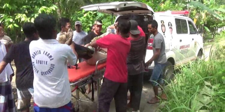 Seorang Warga di Kabupeten Tanggamus Ditemukan Tewas di Persawahan