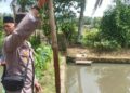 Seorang Balita di Kabupeten Tanggamus Ditemukan Tewas Tengelam di Kolam Ikan