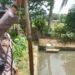 Seorang Balita di Kabupeten Tanggamus Ditemukan Tewas Tengelam di Kolam Ikan