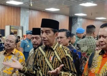 Presiden Joko Widodo Tegaskan Bangun Lumbung Pangan Tidak Semudah Yang Dibayangkan