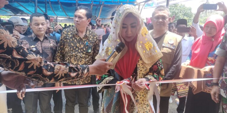 Bupati Tanggamus Resmikan Program Listrik Pedesaan di Pekon Way Asahan