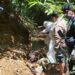 Tim gabungan TNBNW ke-lokasi taman kawasan melihat sejumlah hewan satwa tewas. Dok/Antara