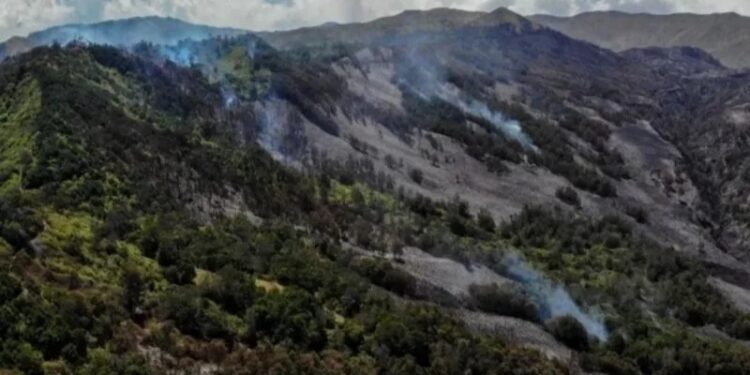 Polda Jatim Ambil Alih Penanganan Kasus Karhutla Bromo