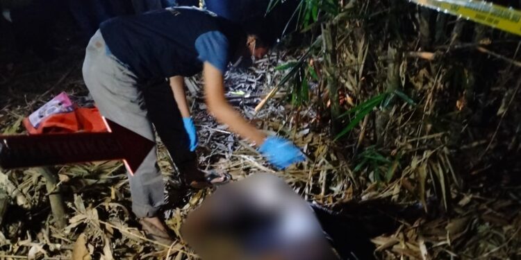 Petugas Evakuasi Jasad Seorang Warga Tewas Membusuk di Rumpun Pohon Bambu