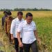 Plt Menteri Pertanian Panen Raya dan Tanam Padi di Kabupaten Sukoharjo