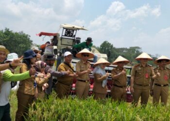Gerakan Nasional Tanam Padi di Kabupaten Lampung Utara Baru Capai 42,51%