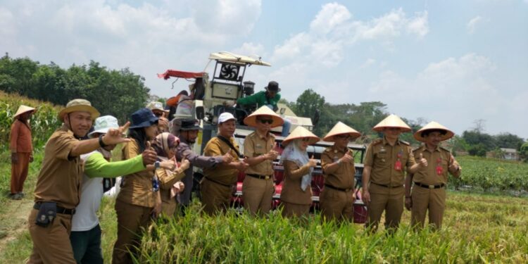 Gerakan Nasional Tanam Padi di Kabupaten Lampung Utara Baru Capai 42,51%