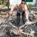 Sebuah Rumah Warga di Kabupaten Tanggamus Ludes Terbakar
