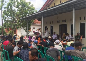Pekon Jawa, Kabupaten Pesibar Berikan Bantuan  Ayam Ternak Kepada Masyarakat