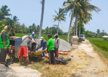 Pekon Biha Kabupaten Pesibar Bangun Jalan Secara Swadaya Masyarakat