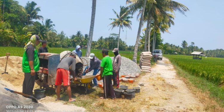 Pekon Biha Kabupaten Pesibar Bangun Jalan Secara Swadaya Masyarakat