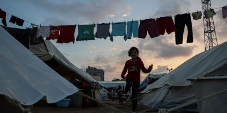 Ribuan Ibu Hamil dan Ratusan Bayi Gaza Butuh Layanan Medis