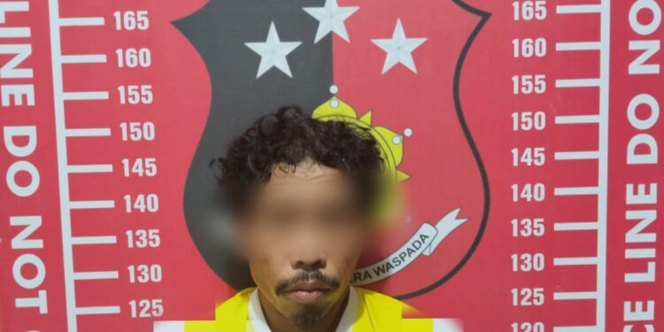 Sat Reskrim Polres Pesibar Tangkap Pelaku Cabul Anak Kadung